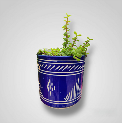 Blue Pot